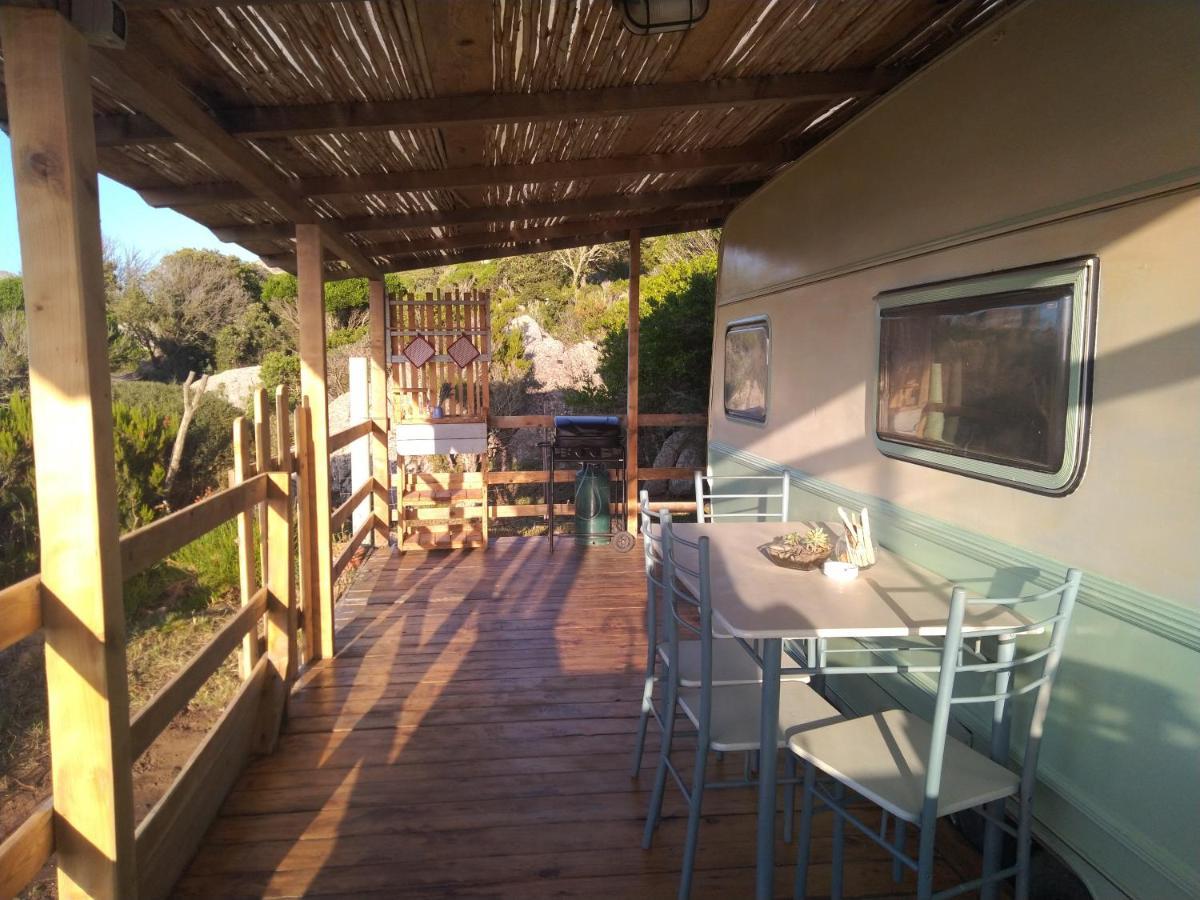 La Cera Farm Camping B&B Santa Teresa Gallura Eksteriør bilde
