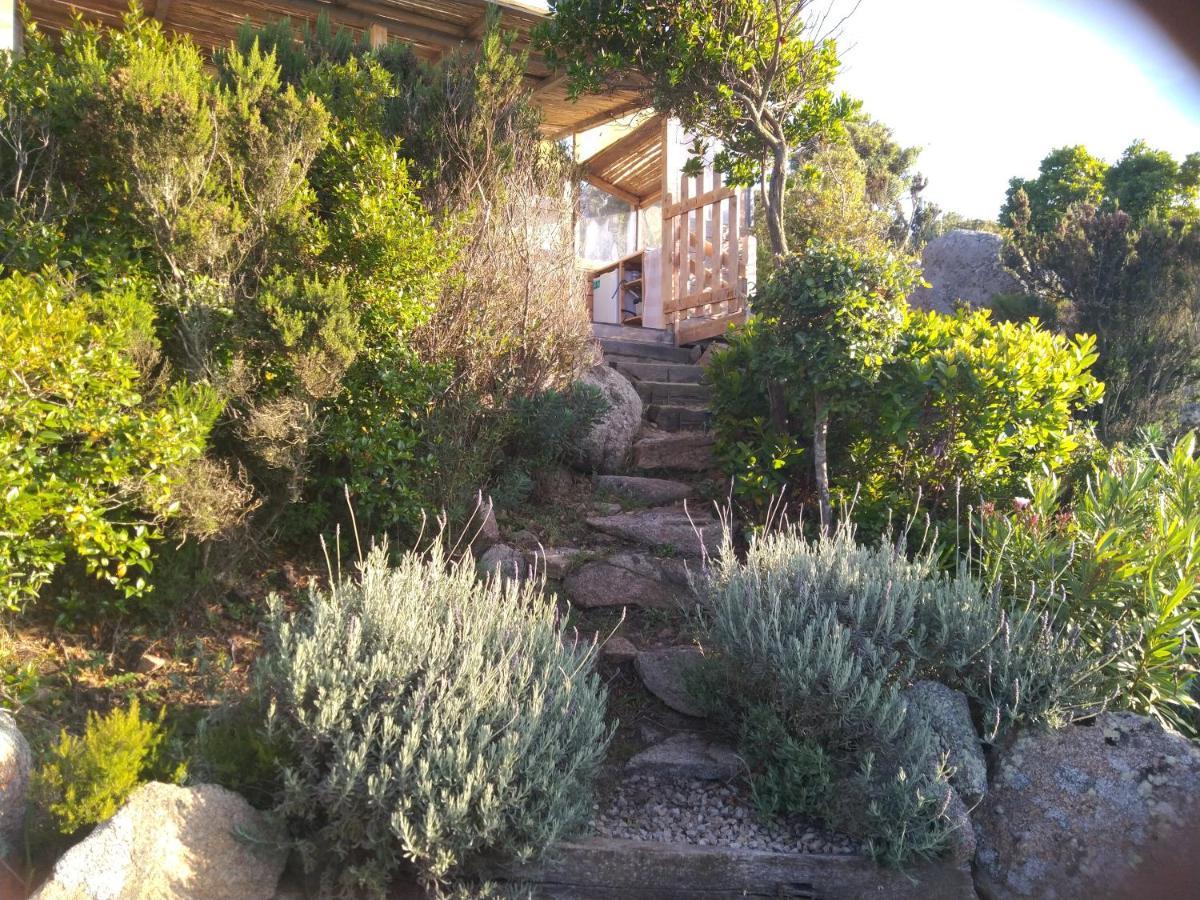 La Cera Farm Camping B&B Santa Teresa Gallura Eksteriør bilde