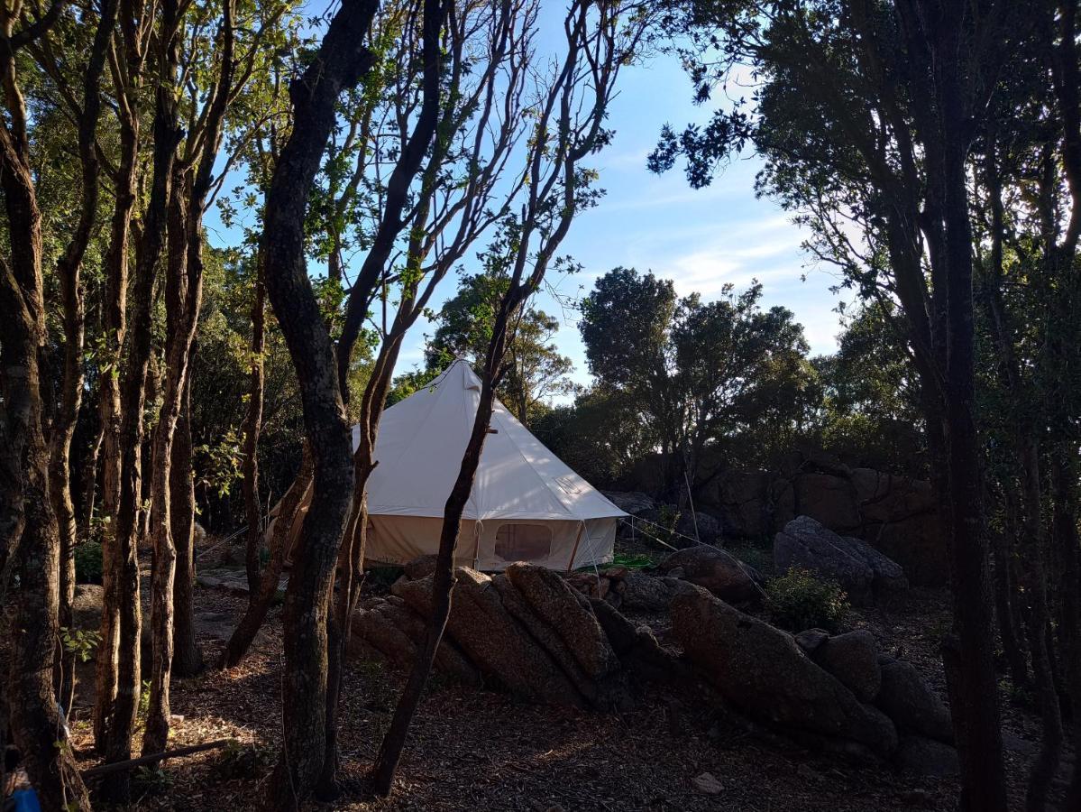 La Cera Farm Camping B&B Santa Teresa Gallura Eksteriør bilde