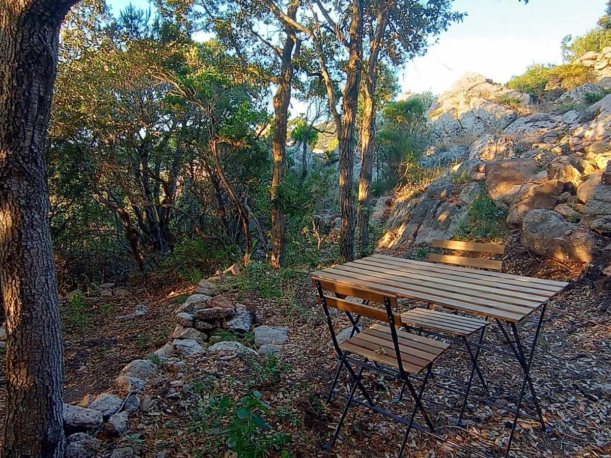 La Cera Farm Camping B&B Santa Teresa Gallura Eksteriør bilde
