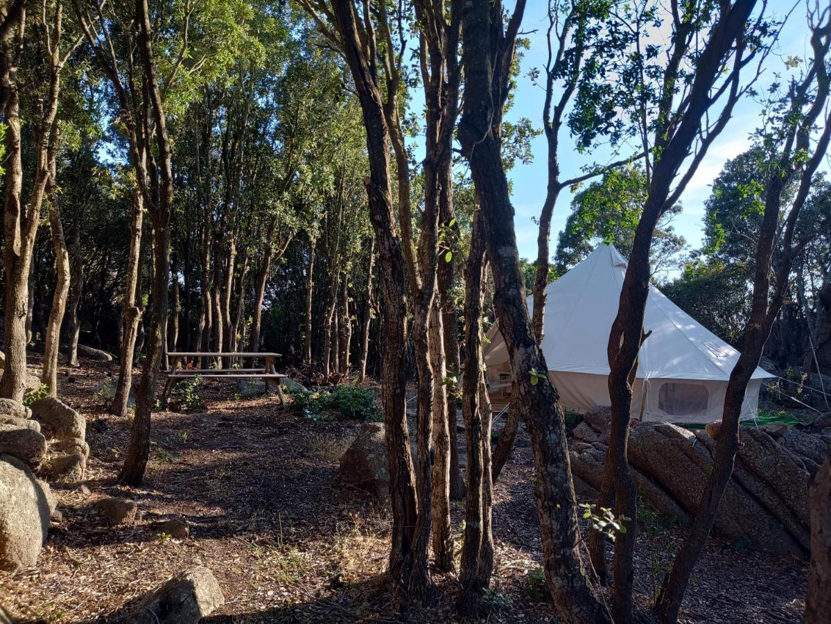 La Cera Farm Camping B&B Santa Teresa Gallura Eksteriør bilde
