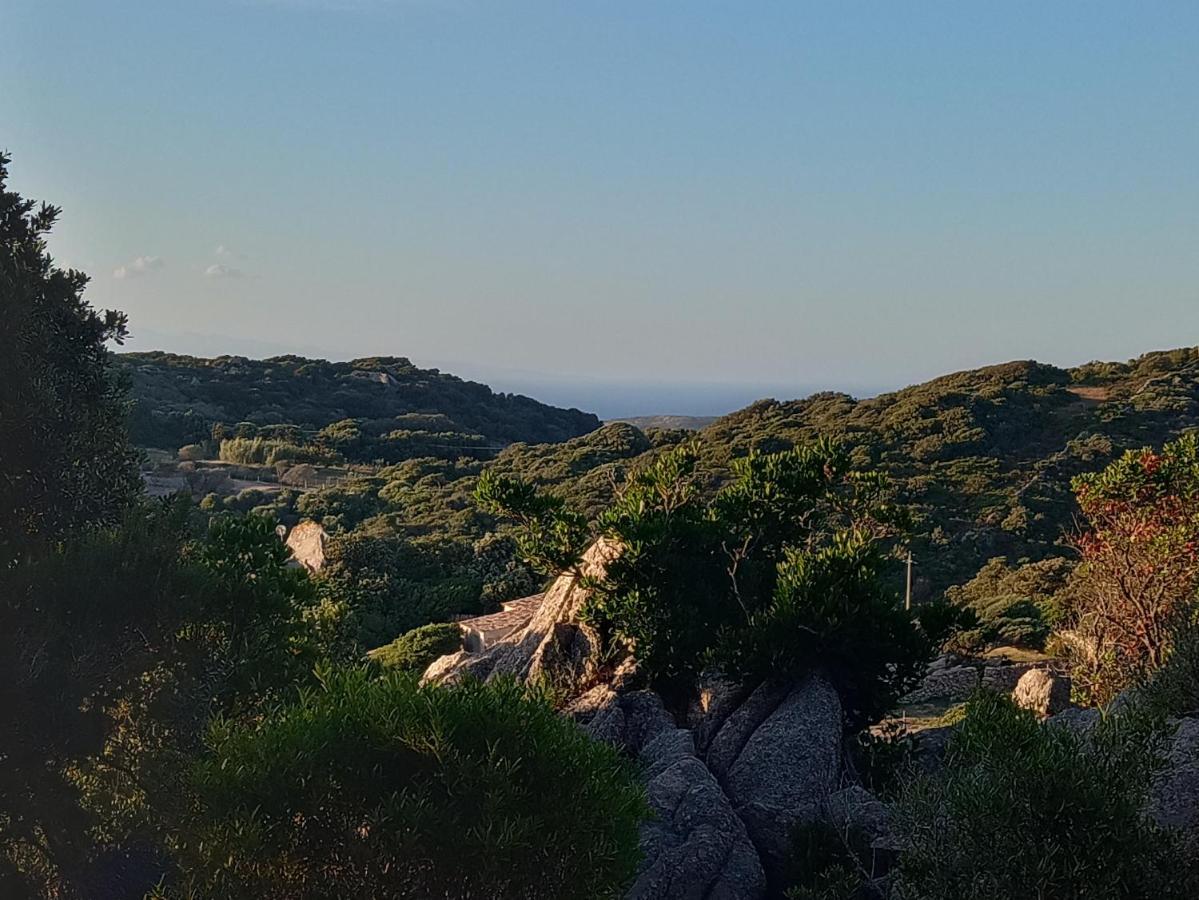 La Cera Farm Camping B&B Santa Teresa Gallura Eksteriør bilde