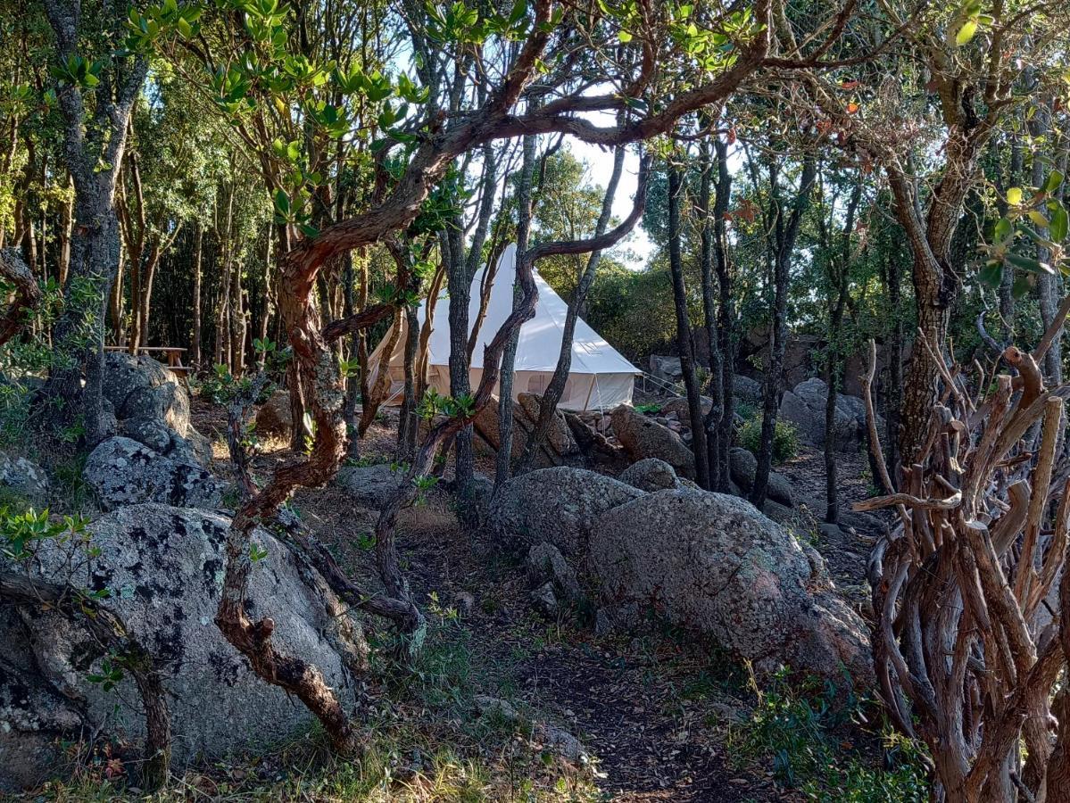 La Cera Farm Camping B&B Santa Teresa Gallura Eksteriør bilde