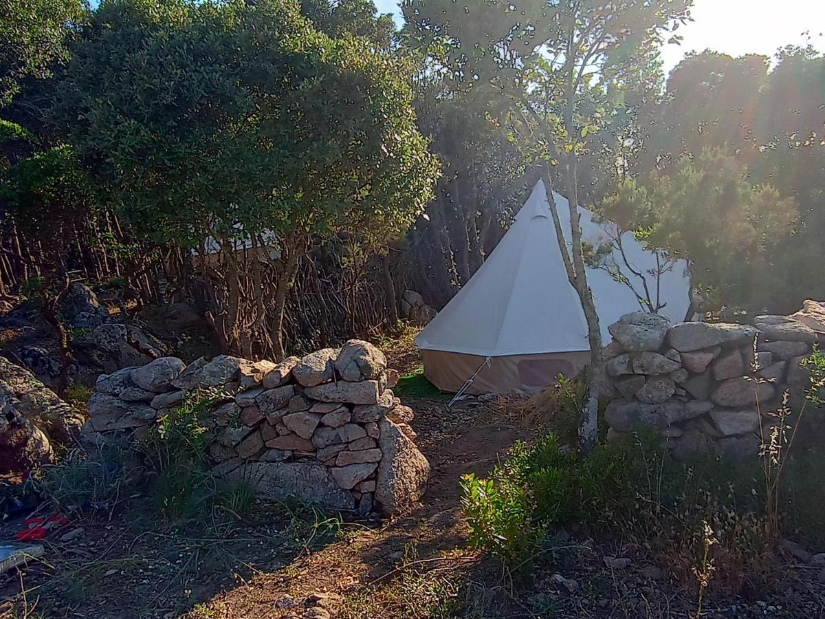 La Cera Farm Camping B&B Santa Teresa Gallura Eksteriør bilde
