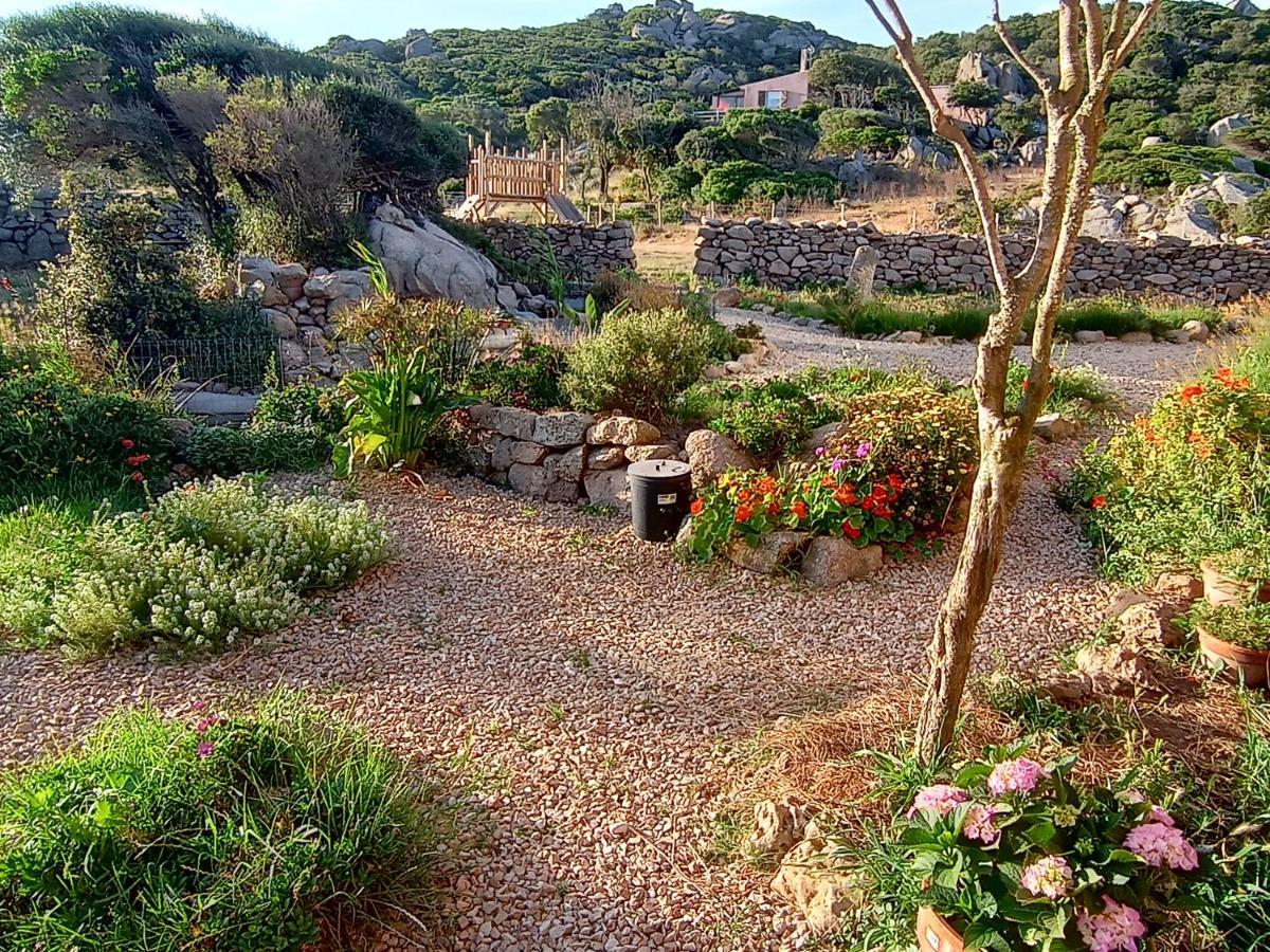 La Cera Farm Camping B&B Santa Teresa Gallura Eksteriør bilde