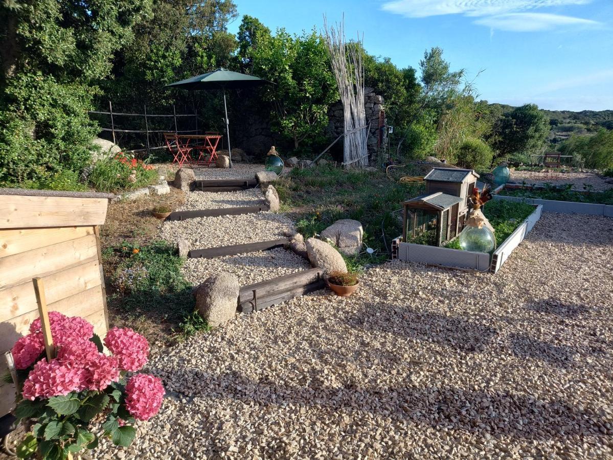 La Cera Farm Camping B&B Santa Teresa Gallura Eksteriør bilde