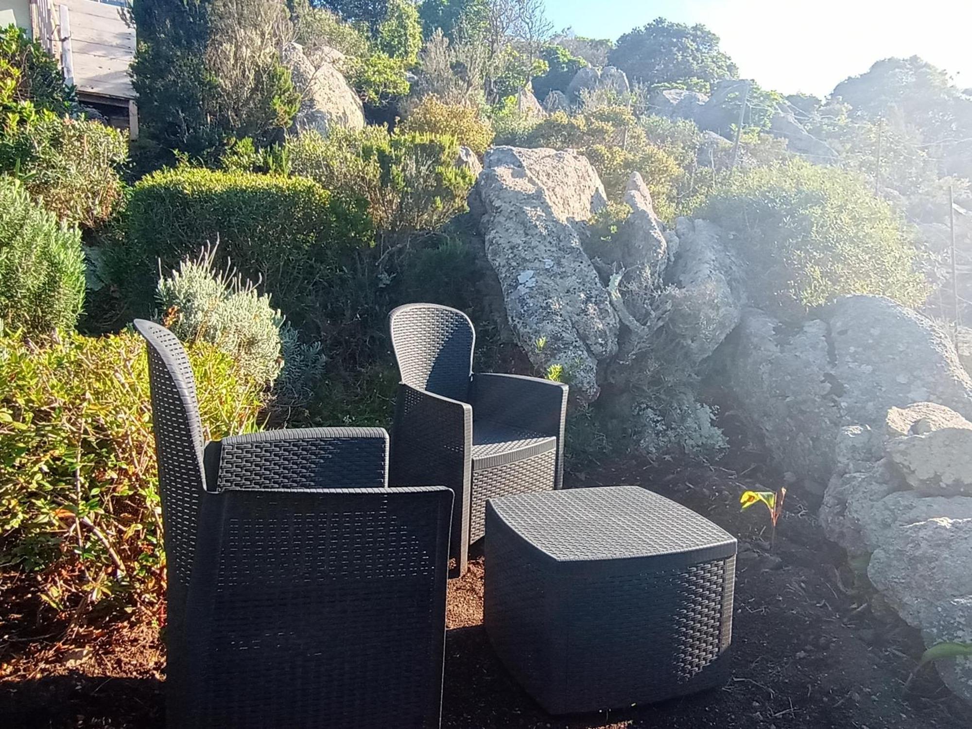 La Cera Farm Camping B&B Santa Teresa Gallura Eksteriør bilde