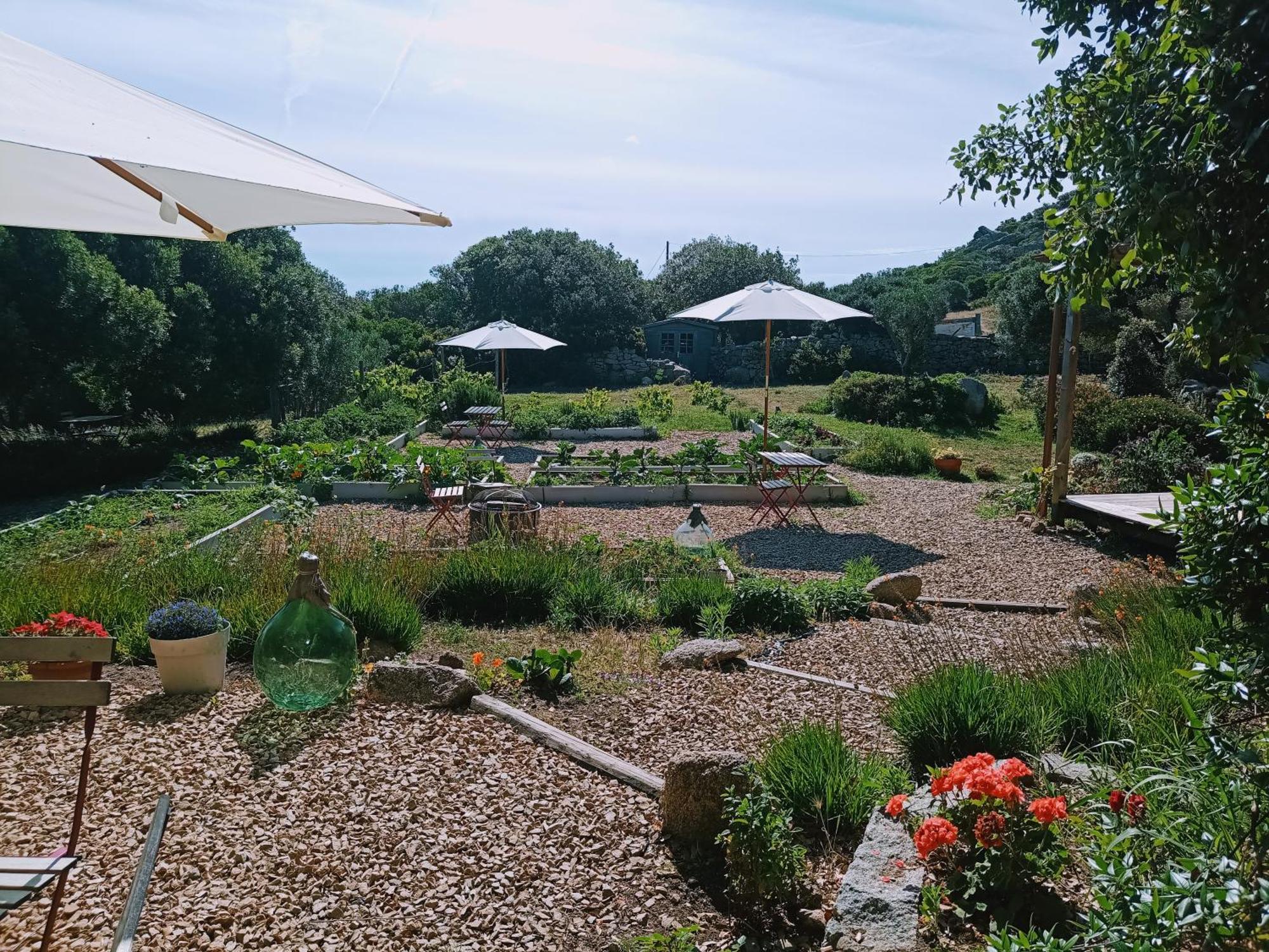 La Cera Farm Camping B&B Santa Teresa Gallura Eksteriør bilde
