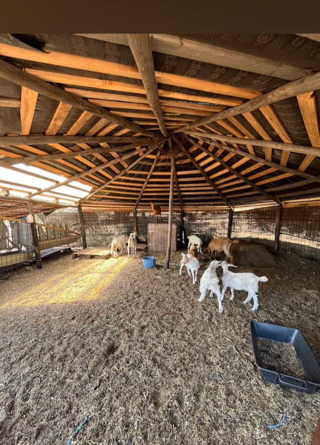 La Cera Farm Camping B&B Santa Teresa Gallura Eksteriør bilde