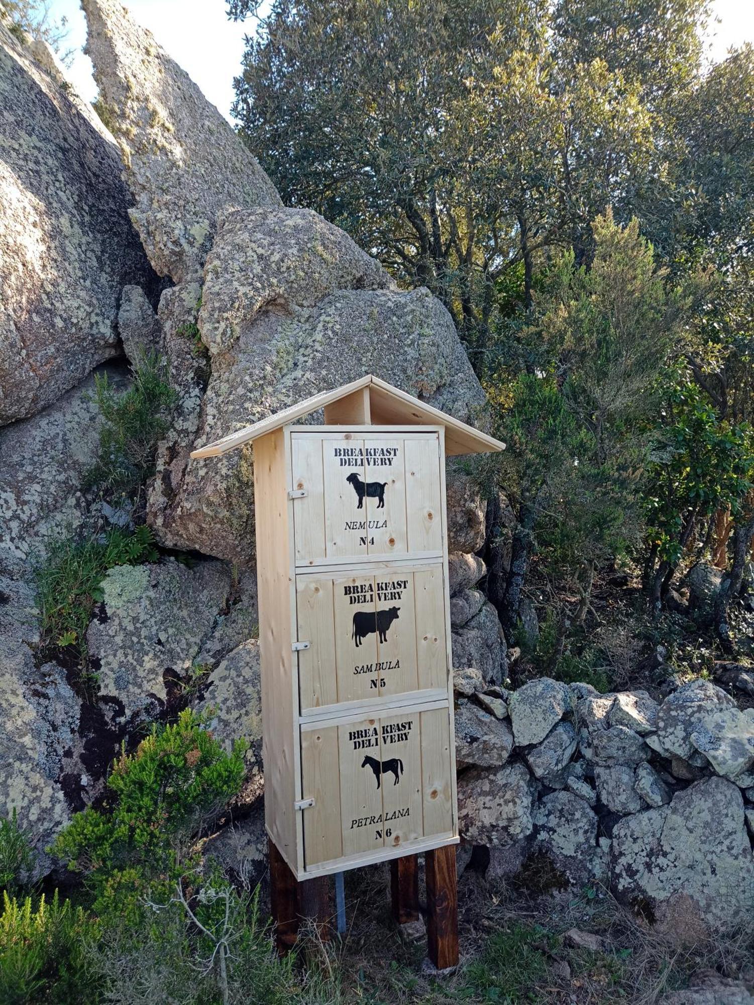 La Cera Farm Camping B&B Santa Teresa Gallura Eksteriør bilde