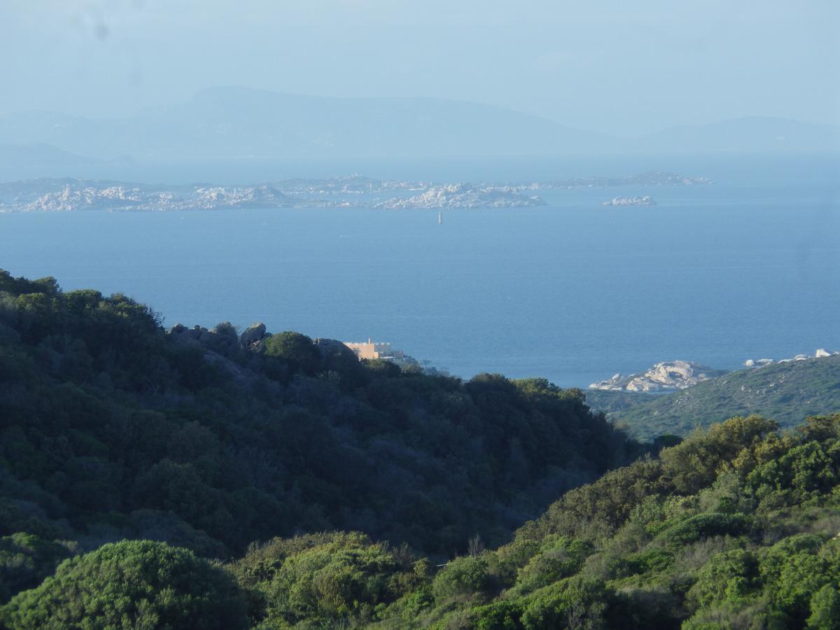 La Cera Farm Camping B&B Santa Teresa Gallura Eksteriør bilde